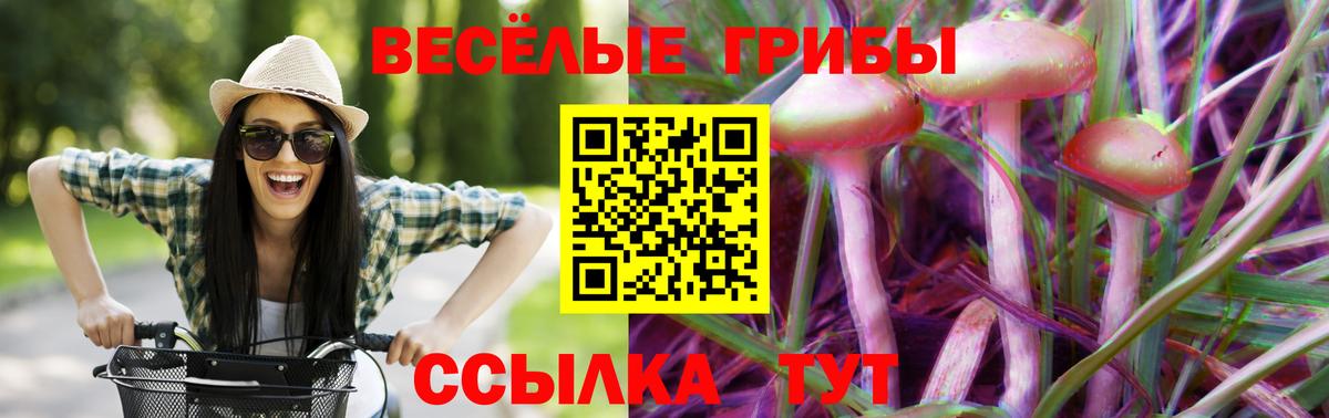 Псилоцибиновые грибы мухоморы  как найти   Вход с VPN  Зеленодольск  Псилоцибиновые грибы Magic Shrooms 